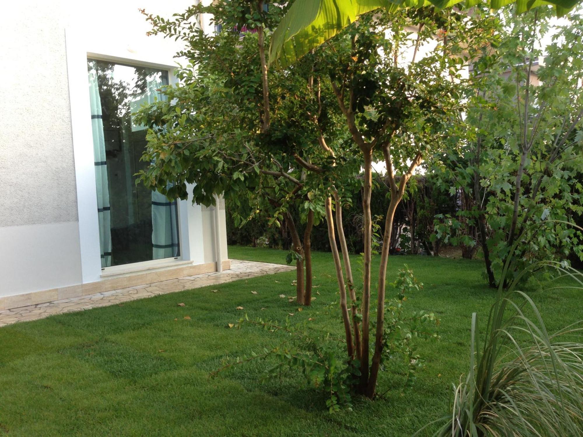 Loft 3, A 150 M Dal Mare, Pineto Centro Apartamento Exterior foto
